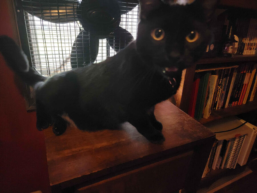 All The Wrong Reasons by Sebastian Hansen Cover of the book, "All the Wrong Reasons" by Sebastian Hansen. Yeah, it's back again.